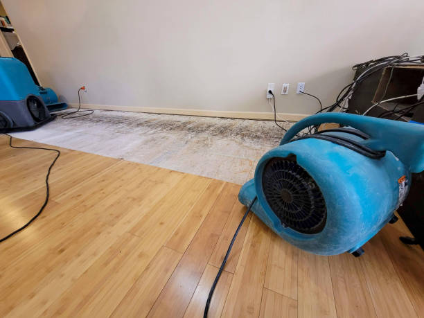 Professional Structural Drying technician working in Blythe, GA